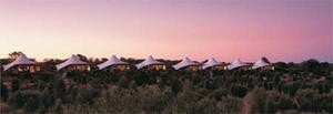 Ayers Rock Luxury Tents