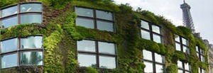 Vertical Garden